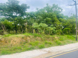 5 Acres Land For Sale In Ibex Meanwood