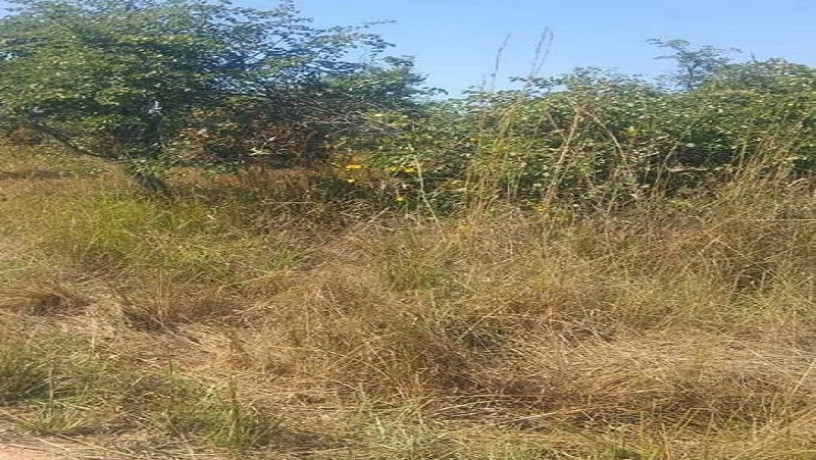 spacious-plot-for-sale-in-meanwood-ndeke-big-1