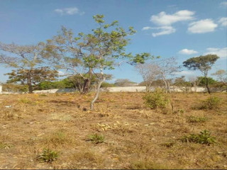 50m By 40m Plot For Sale In Ibex Meanwood