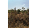 plots-for-sale-in-roma-small-2
