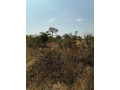 plots-for-sale-in-roma-small-1