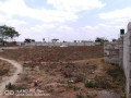 plot-for-sale-in-silverest-small-1