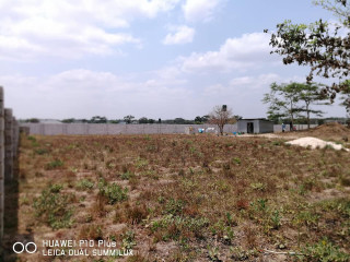 Plot For Sale In Silverest