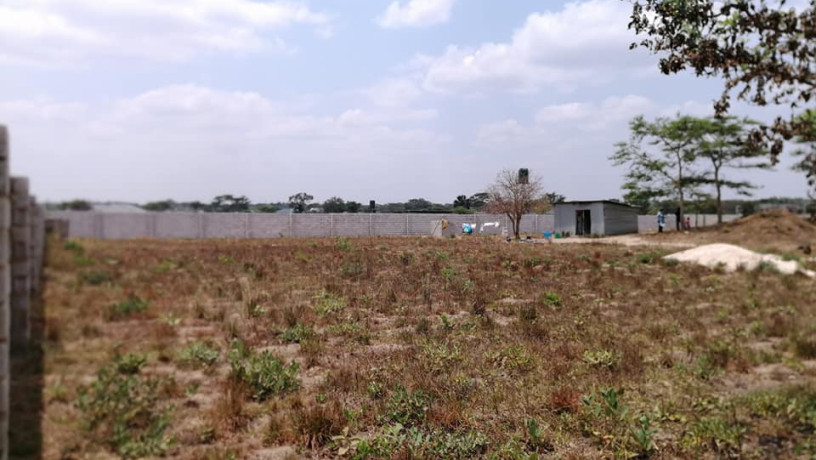 plot-for-sale-in-silverest-big-0