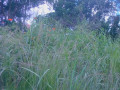 5-acres-plot-for-sale-in-ibex-hill-small-0