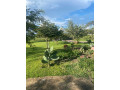 4-bedroom-house-for-sale-in-ngwerere-small-1