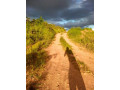 587sqm-plot-for-sale-in-foxdale-small-1