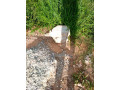 587sqm-plot-for-sale-in-foxdale-small-2