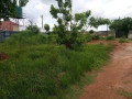 30m-by-20m-plot-for-sale-in-foxdale-small-5