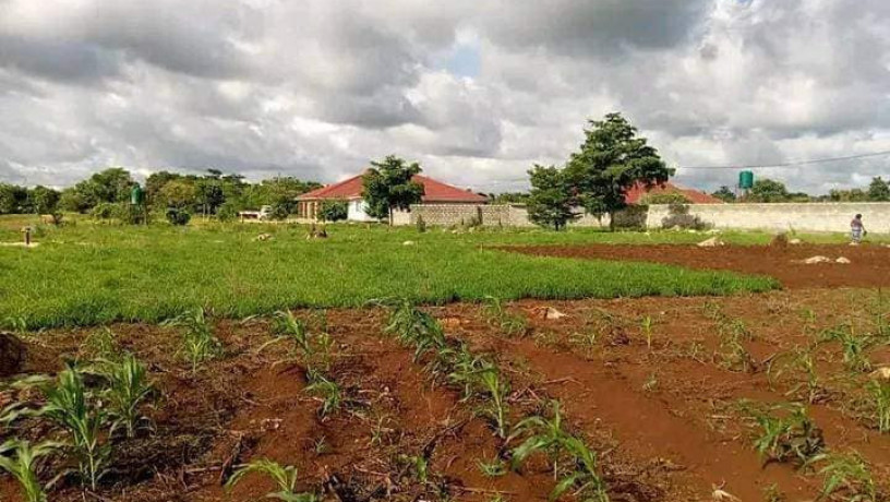 50m-by-50m-plot-for-sale-in-new-kasama-big-2