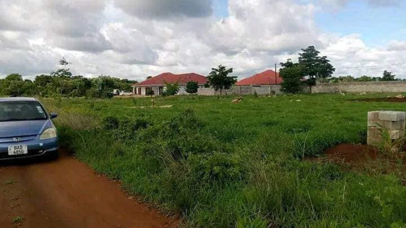 50m-by-50m-plot-for-sale-in-new-kasama-big-1