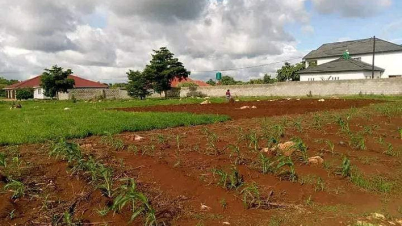 50m-by-50m-plot-for-sale-in-new-kasama-big-3