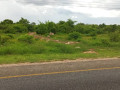 1-hectare-land-for-sale-along-mumbwa-road-small-4