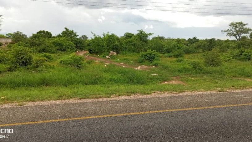 1-hectare-land-for-sale-along-mumbwa-road-big-4