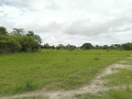 residential-plots-for-sale-in-silverest-small-1