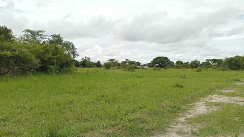 residential-plots-for-sale-in-silverest-big-1