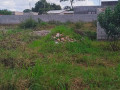 40m-by-35m-plot-for-sale-in-lilayi-small-3