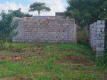 40m-by-35m-plot-for-sale-in-lilayi-small-6