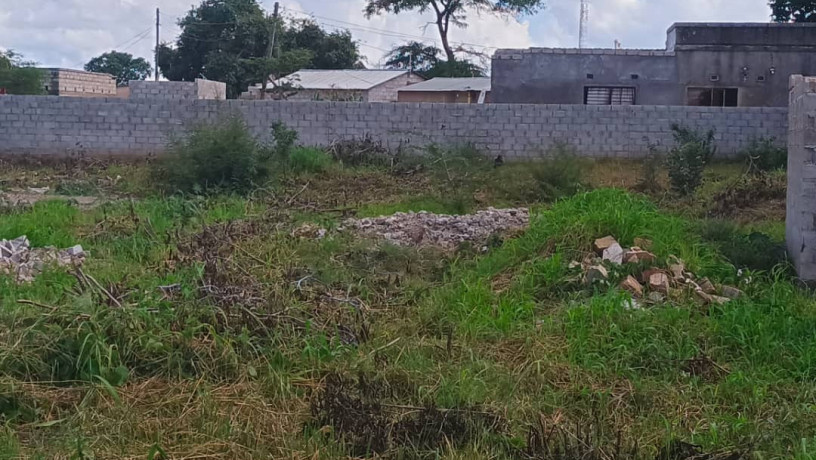 40m-by-35m-plot-for-sale-in-lilayi-big-7