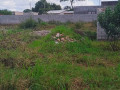 40m-by-35m-plot-for-sale-in-lilayi-small-3