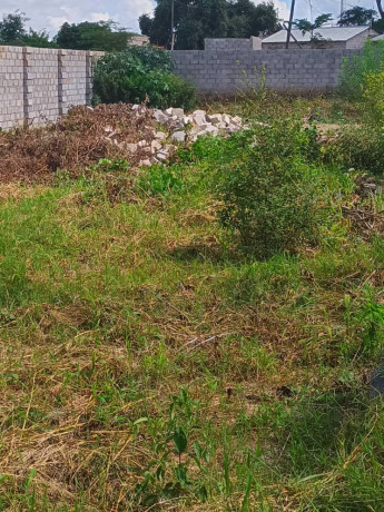 40m-by-35m-plot-for-sale-in-lilayi-big-0