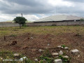 prime-plot-for-sale-in-chalala-small-1