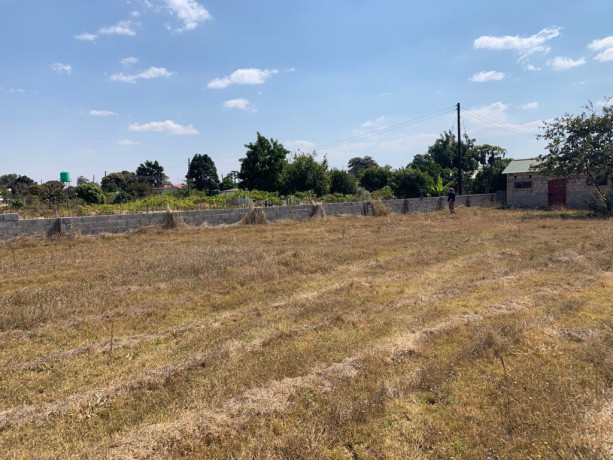 plot-for-sale-in-silverest-big-1
