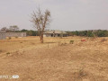 plot-for-sale-in-barlastone-complex-small-3