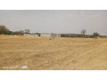 plot-for-sale-in-barlastone-complex-small-2