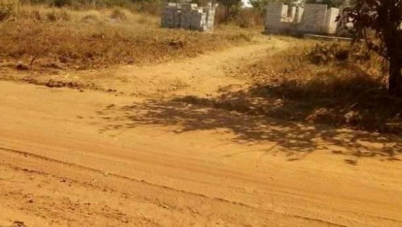 20m-by-20m-plot-for-sale-in-shantumbu-big-1