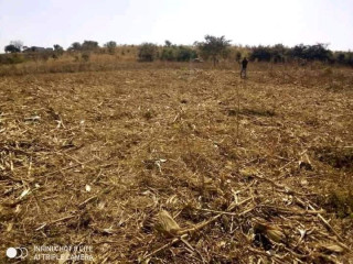 20m-by-20m-plot-for-sale-in-shantumbu