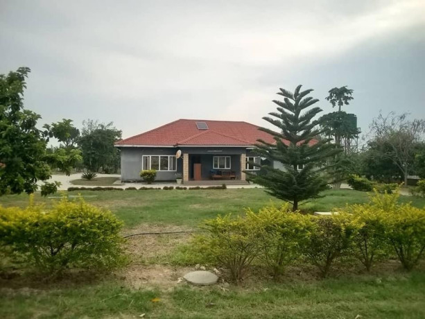 26-acres-farm-for-sale-big-2