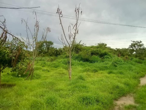26-acres-farm-for-sale-big-1