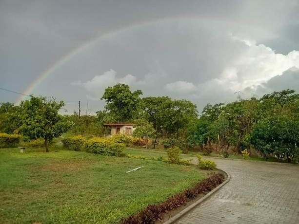 26-acres-farm-for-sale-big-8