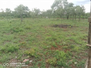 1 Acre Plot For Sale in State Lodge