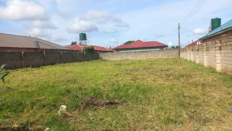 40m-by-20m-plot-for-sale-in-salama-park-big-1