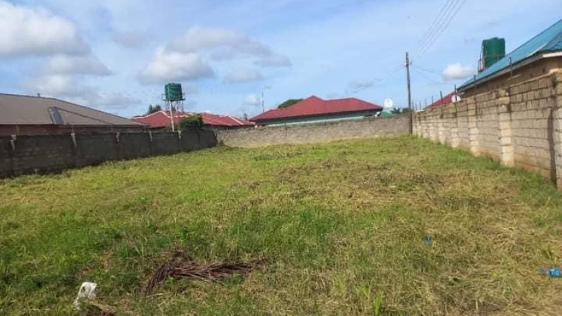 40m-by-20m-plot-for-sale-in-salama-park-big-3