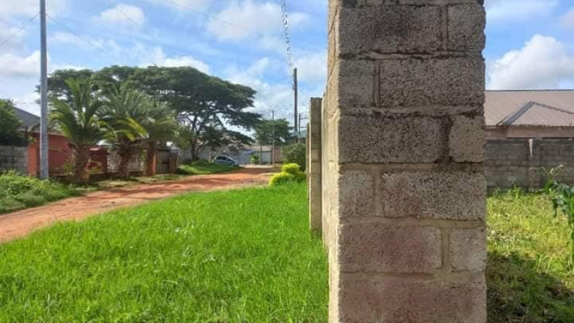 40m-by-20m-plot-for-sale-in-salama-park-big-2