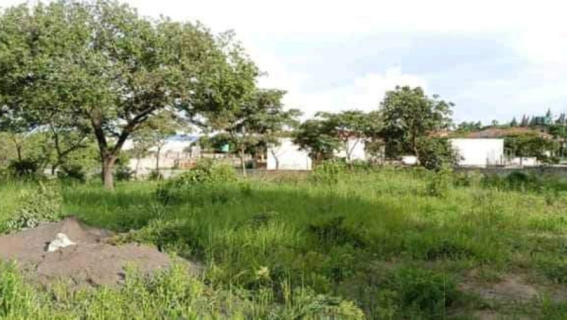 plot-for-sale-in-ibex-hill-big-2