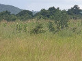 4-hectares-land-for-sale-in-shimabala-small-3