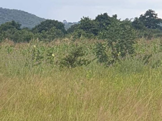 4 Hectares Land For Sale in Shimabala