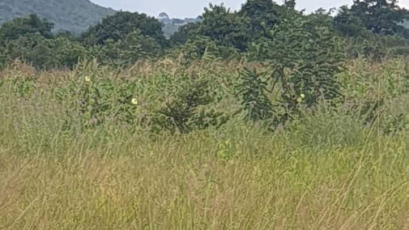 4-hectares-land-for-sale-in-shimabala-big-0