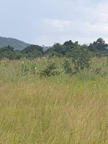 4-hectares-land-for-sale-in-shimabala-big-0