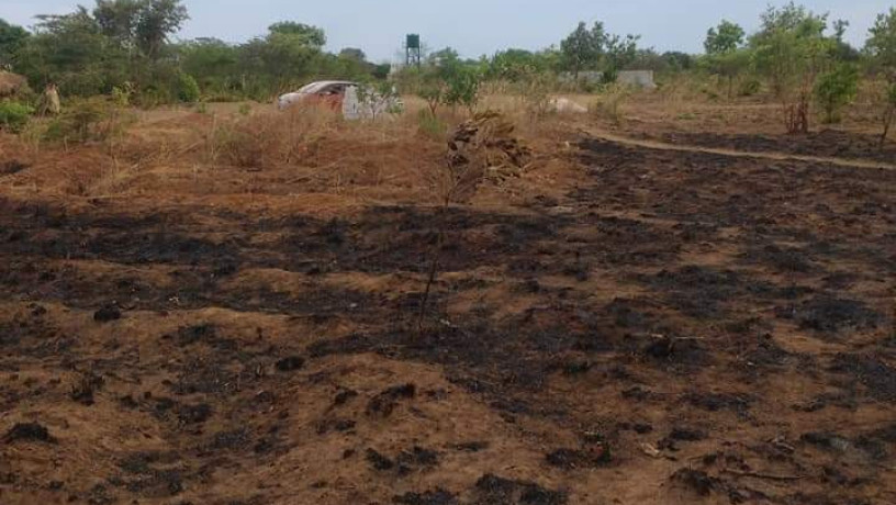 20m-by-20m-plot-for-sale-in-kalundu-villa-big-0