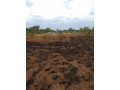 20m-by-20m-plot-for-sale-in-kalundu-villa-small-2