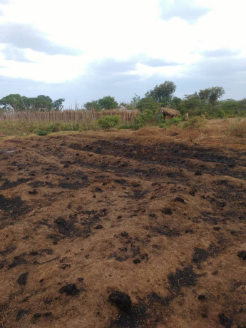 20m-by-20m-plot-for-sale-in-kalundu-villa-big-4