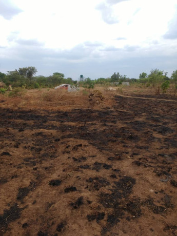 20m-by-20m-plot-for-sale-in-kalundu-villa-big-2