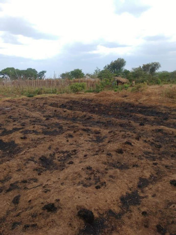 20m-by-20m-plot-for-sale-in-kalundu-villa-big-1