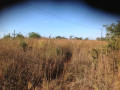 36m-by-40m-plot-for-sale-in-lilayi-small-2