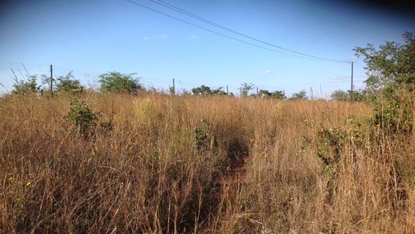 36m-by-40m-plot-for-sale-in-lilayi-big-2